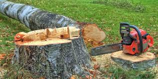 How Our Tree Care Process Works  in  Carolina Shores, NC