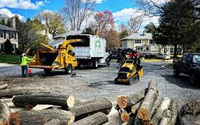 Best Lawn Pest Prevention  in Carolina Shores, NC